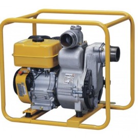 Мотопомпа Robin-Subaru PTX 301 T